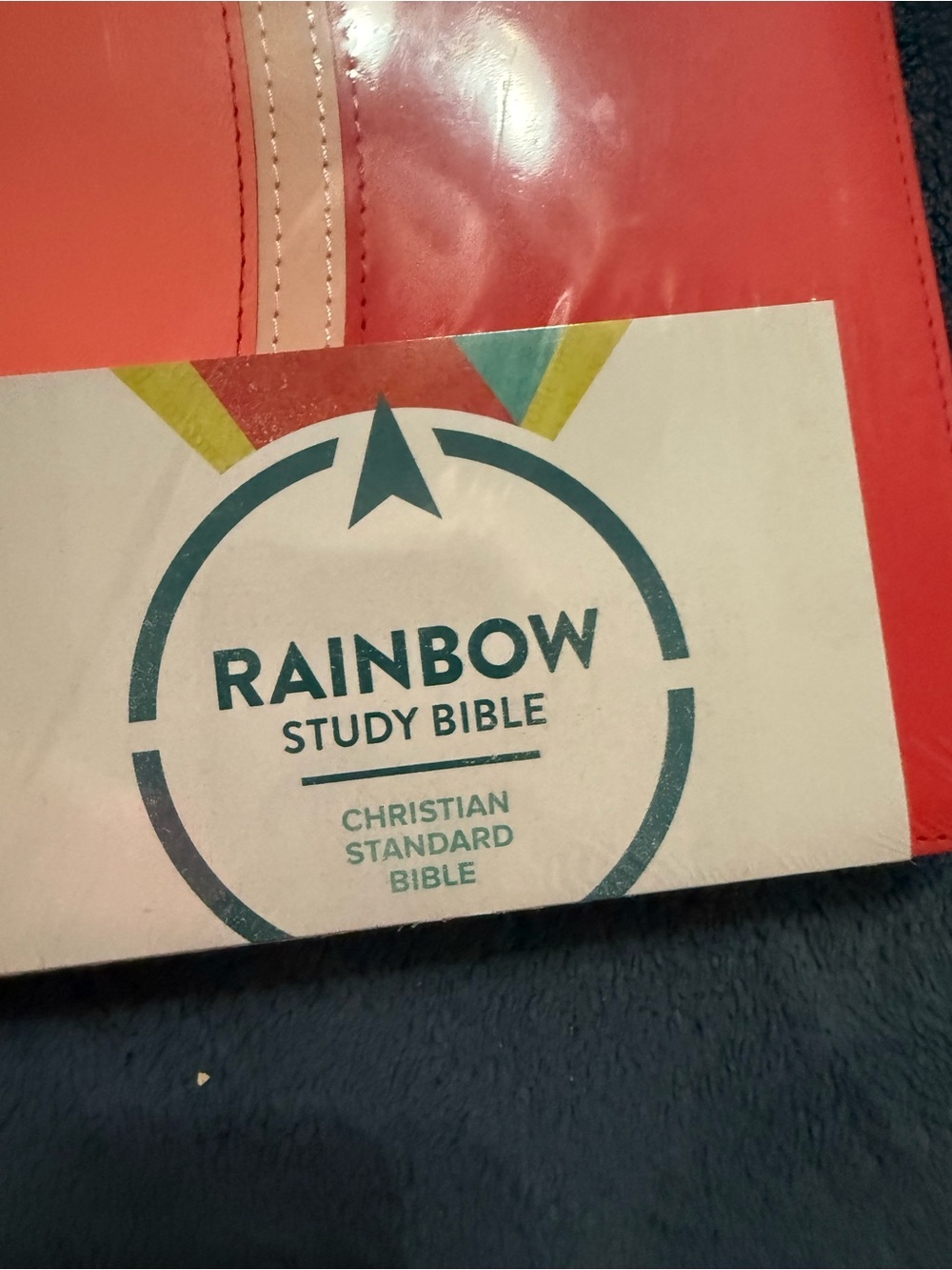 CSB Rainbow Study Bible Christian Standard Bible Pink Color Coded Hardcover - Picture 5 of 5